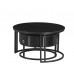 IF-2667 Set of 2 Coffee Tables (Online Only)