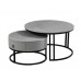 IF-2668 Set of 2 Coffee Tables (Online Only)